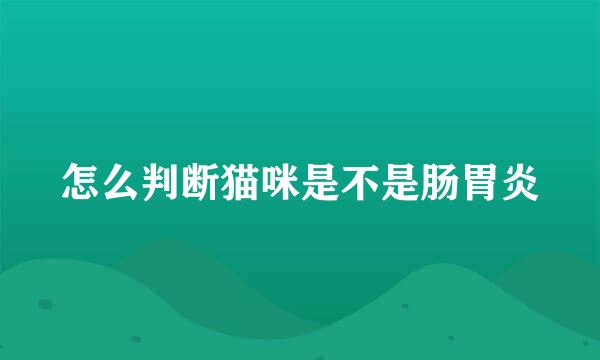 怎么判断猫咪是不是肠胃炎
