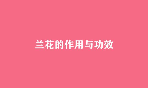 兰花的作用与功效