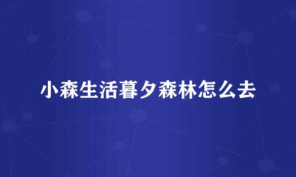 小森生活暮夕森林怎么去