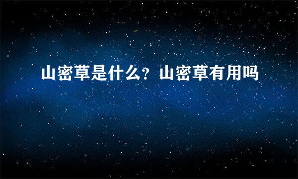 山密草是什么？山密草有用吗