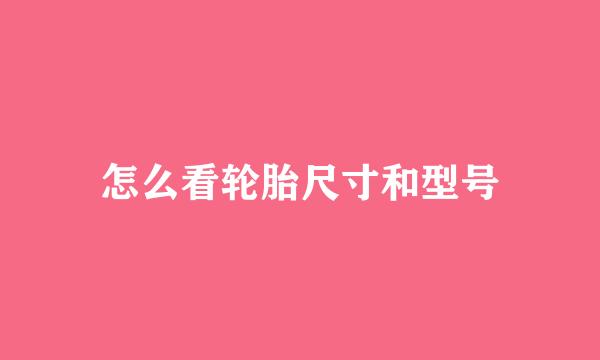 怎么看轮胎尺寸和型号