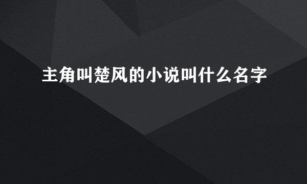 主角叫楚风的小说叫什么名字