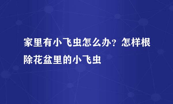家里有小飞虫怎么办?怎样根除花盆里的小飞虫
