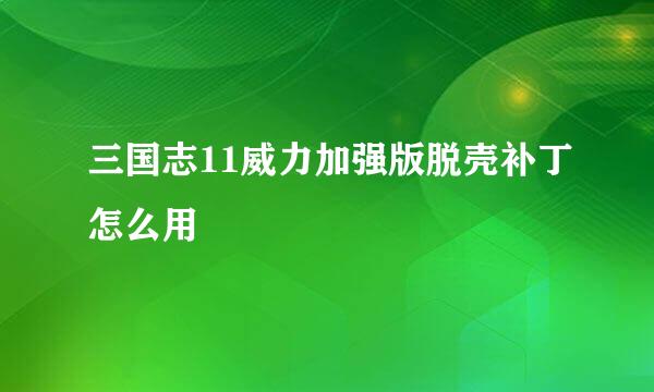 三国志11威力加强版脱壳补丁怎么用