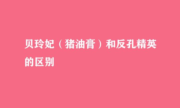 贝玲妃（猪油膏）和反孔精英的区别
