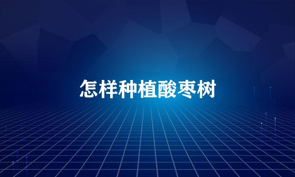 怎样种植酸枣树