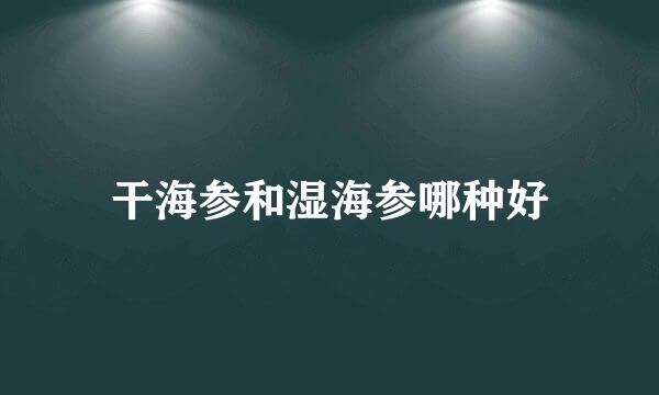 干海参和湿海参哪种好