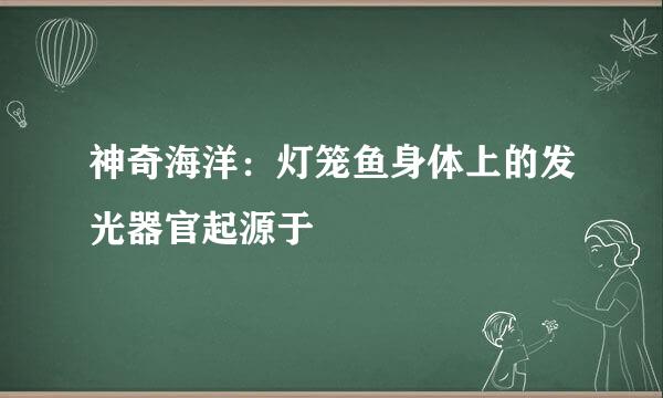 神奇海洋：灯笼鱼身体上的发光器官起源于
