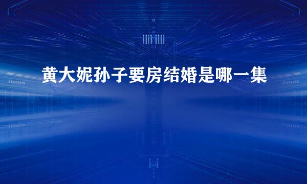 黄大妮孙子要房结婚是哪一集