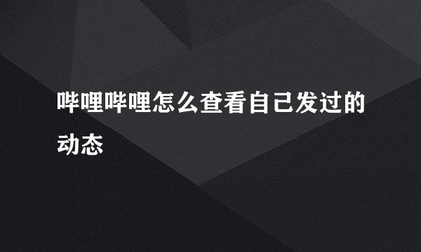 哔哩哔哩怎么查看自己发过的动态