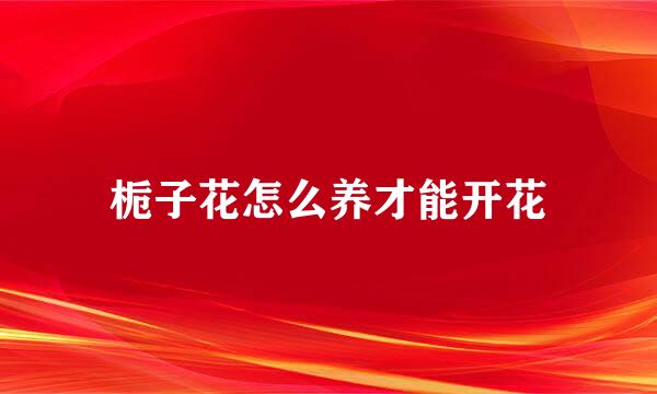 栀子花怎么养才能开花
