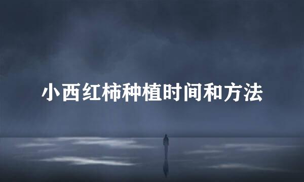 小西红柿种植时间和方法