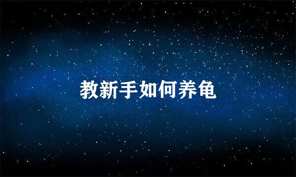 教新手如何养龟