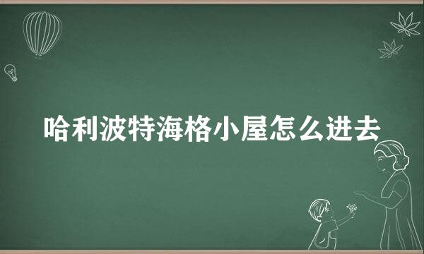 哈利波特海格小屋怎么进去