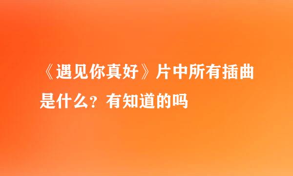 《遇见你真好》片中所有插曲是什么？有知道的吗