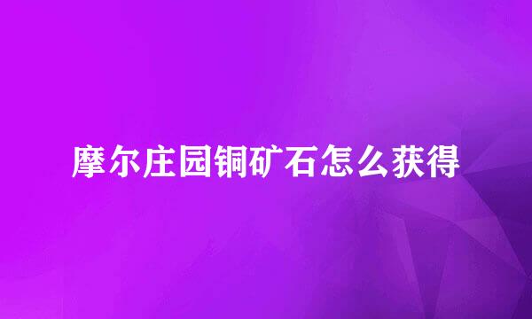 摩尔庄园铜矿石怎么获得