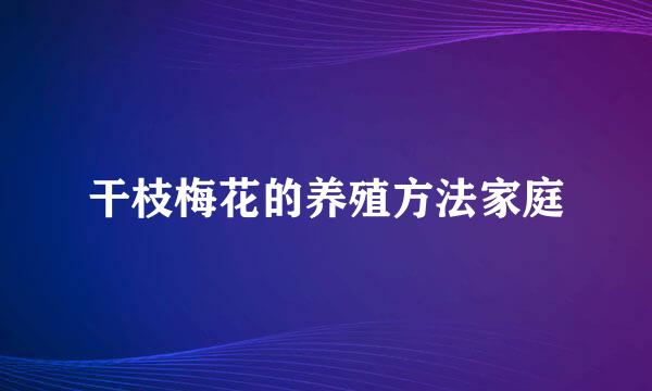 干枝梅花的养殖方法家庭