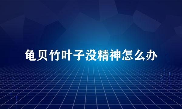 龟贝竹叶子没精神怎么办