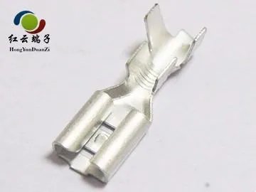 187和250端子各个什么呢？