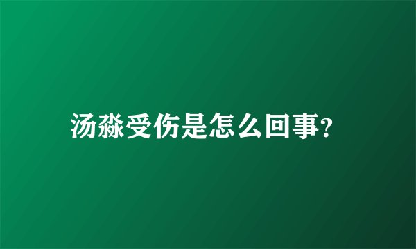 汤淼受伤是怎么回事？