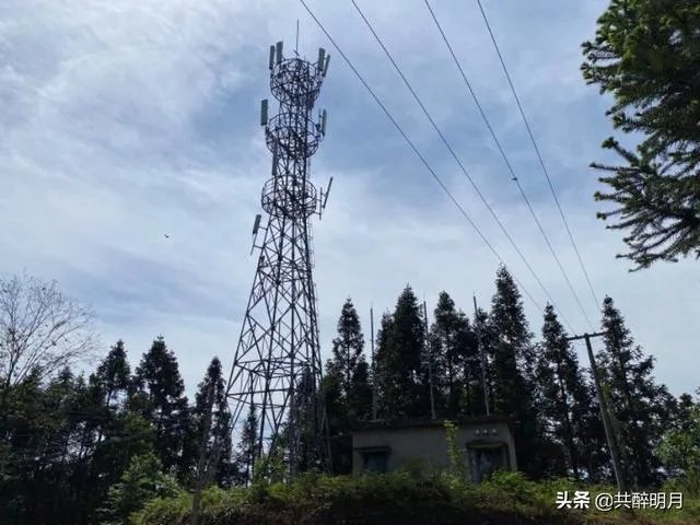基站都归铁塔公司管理了，为什么有时候三大运营商信号差别依旧很大？