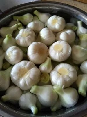 糖蒜怎么做好吃?糖蒜最正宗的做法