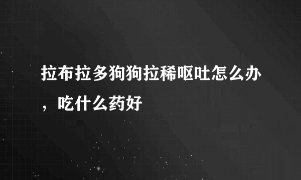 拉布拉多狗狗拉稀呕吐怎么办，吃什么药好