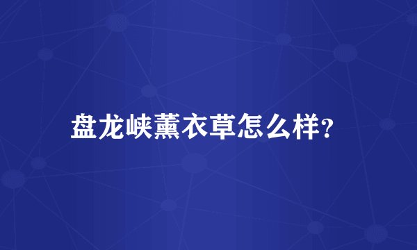 盘龙峡薰衣草怎么样？