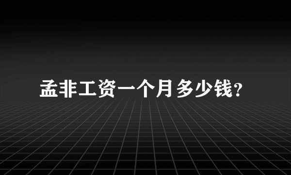 孟非工资一个月多少钱？