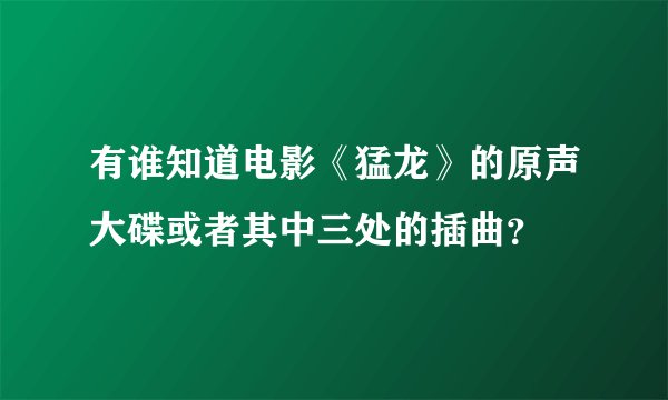 有谁知道电影《猛龙》的原声大碟或者其中三处的插曲？