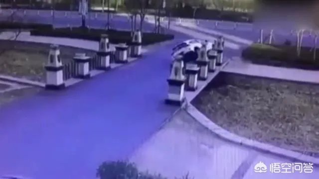 女司机开车“爬”护桥栏杆,下车后先玩自拍,你怎么看?