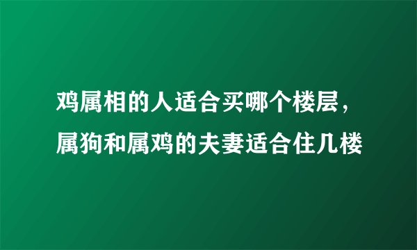 鸡属相的人适合买哪个楼层,属狗和属鸡的夫妻适合住几楼