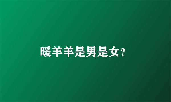 暖羊羊是男是女？