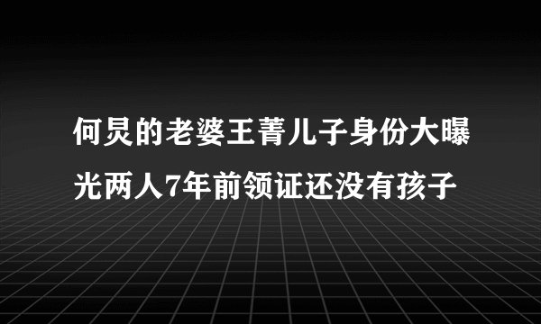 何炅的老婆王菁儿子身份大曝光两人7年前领证还没有孩子