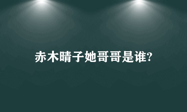 赤木晴子她哥哥是谁?