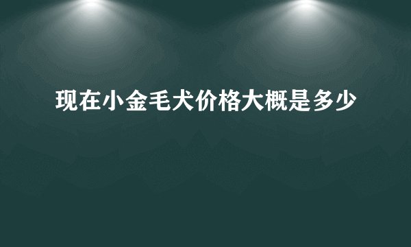 现在小金毛犬价格大概是多少