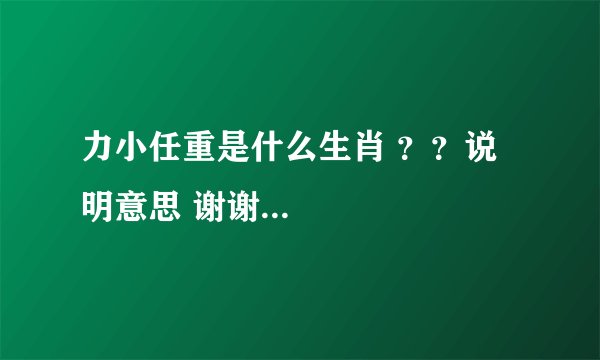 力小任重是什么生肖 ？？说明意思 谢谢...