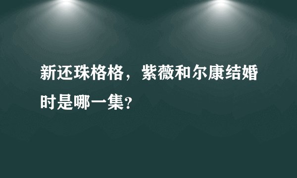 新还珠格格，紫薇和尔康结婚时是哪一集？