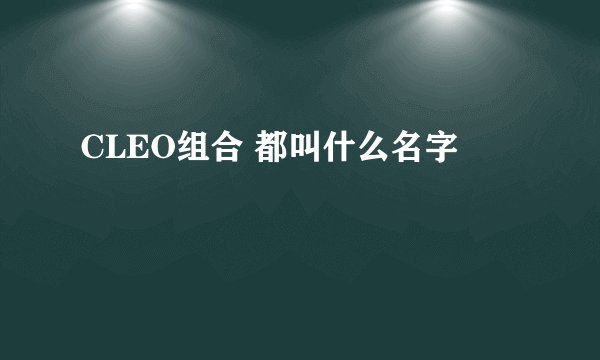 CLEO组合 都叫什么名字