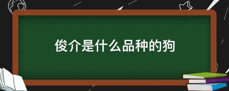 俊介是什么品种的狗