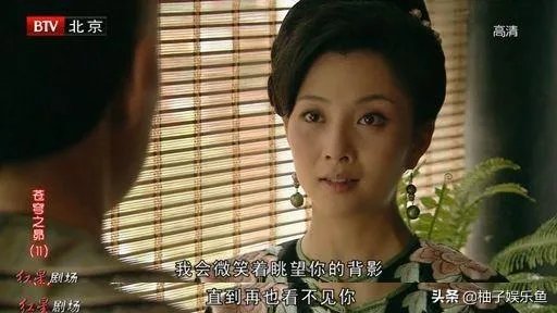 如何评价电视剧《苍穹之昴》?