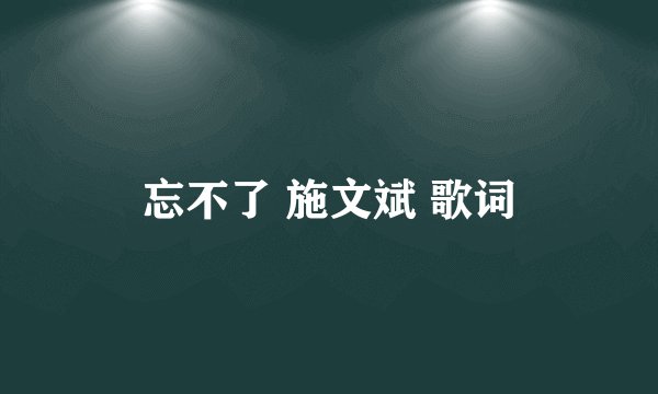 忘不了 施文斌 歌词
