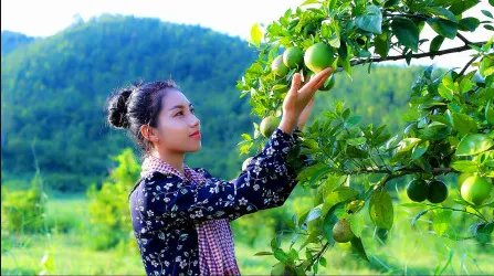 李子柒疑遭越南美食博主抄袭，维权难度真的有那么大吗？
