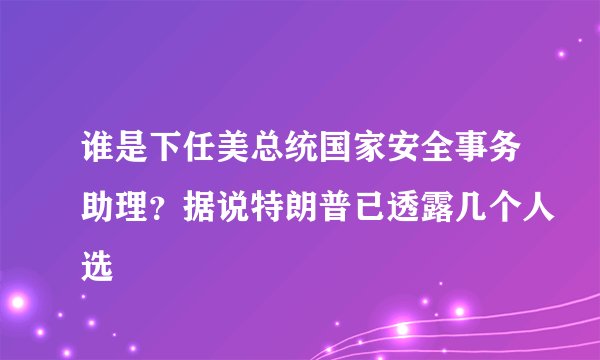 谁是下任美总统国家安全事务助理？据说特朗普已透露几个人选