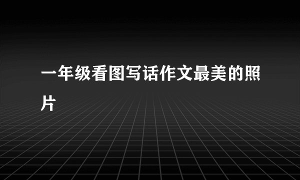一年级看图写话作文最美的照片