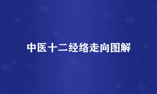 中医十二经络走向图解