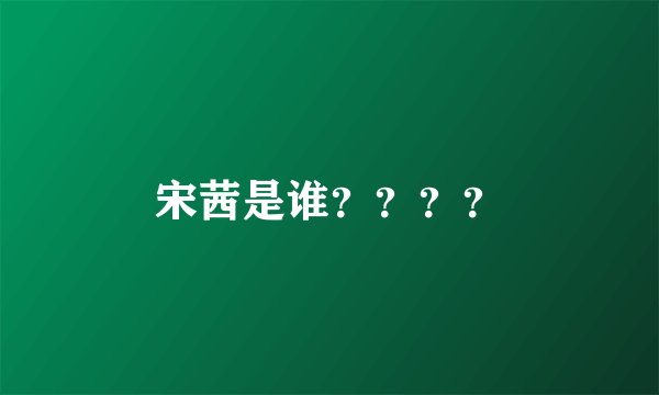 宋茜是谁？？？？