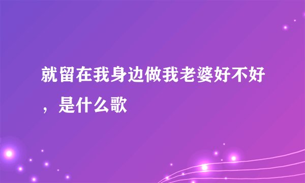 就留在我身边做我老婆好不好，是什么歌