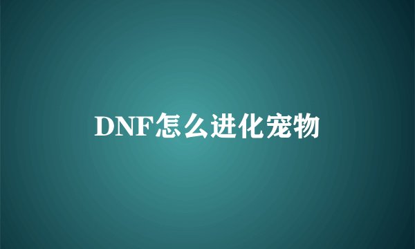 DNF怎么进化宠物