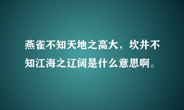 燕雀不知天地之高大，坎井不知江海之辽阔是什么意思啊。